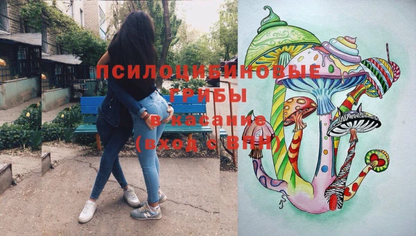 молекула духа Алексин