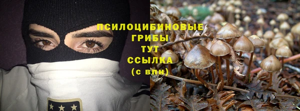 гидропоника Наволоки