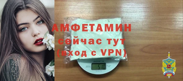 молекула духа Алексин